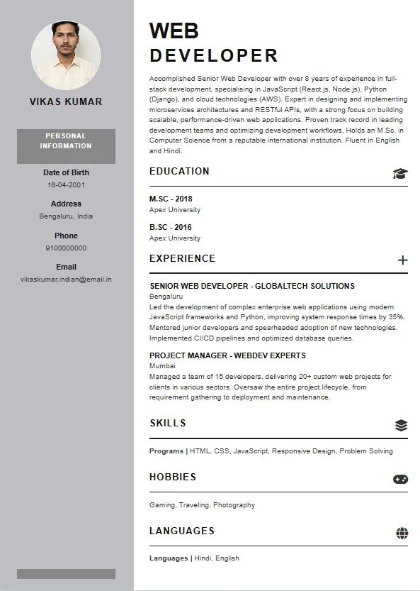 Premium Resume Template 1