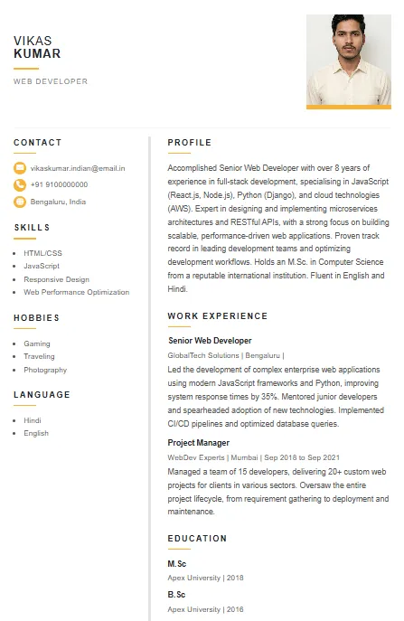 Premium Resume Template 3