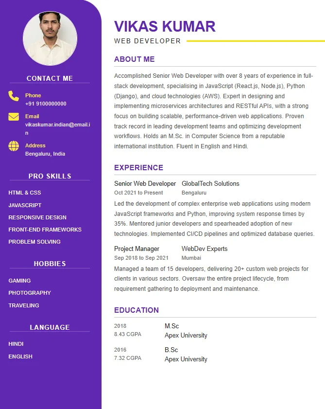Premium Resume Template 3