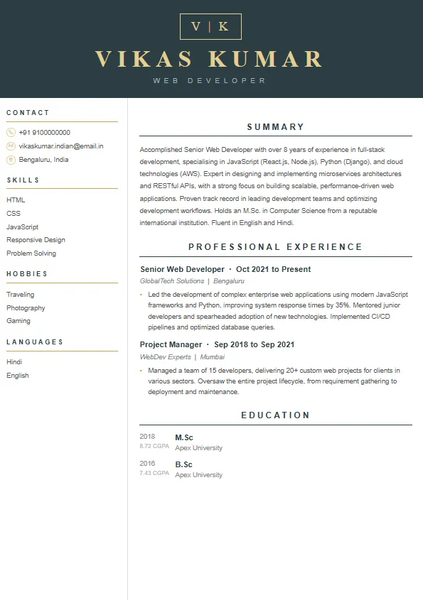 Premium Resume Template 3